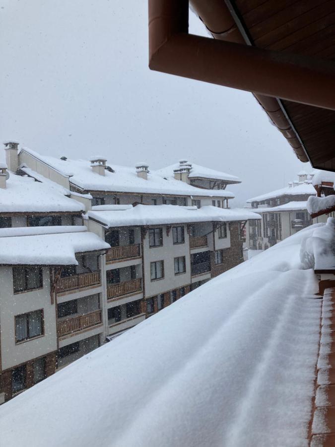 Cedar Lodge 3/4 Apartment Paradise Bansko Exteriör bild
