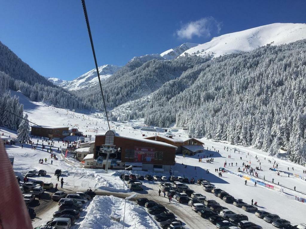 Cedar Lodge 3/4 Apartment Paradise Bansko Exteriör bild