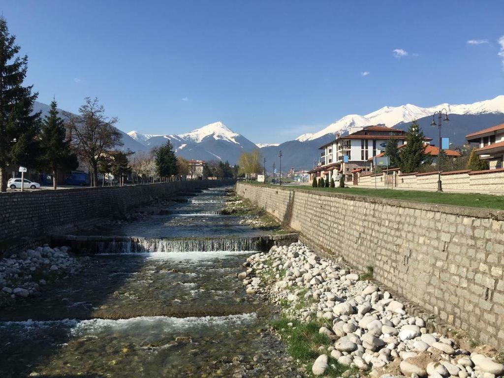 Cedar Lodge 3/4 Apartment Paradise Bansko Exteriör bild